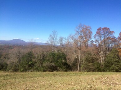 000 Mountain View Rd unit 705, Lexington, VA 24450 - photo 3