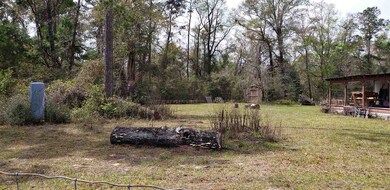 0 Pinecrest Dr, Crawfordville, FL 32327 - photo 3