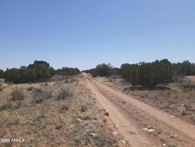 10 Acre 17xx Buffington Hill Rd, Heber, AZ 85928 - photo 6