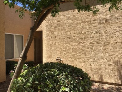 FRONT WALKWAY