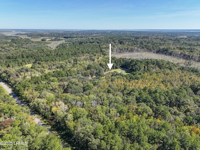 262 Wimbee Landing Rd, Seabrook, SC 29940 - photo 6