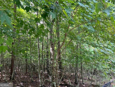 0 Northshore Dr unit 10640788, Cleveland, GA 30528 - photo 3