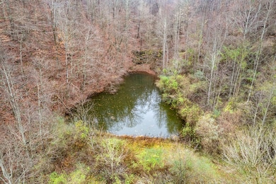 503 Brown Branch Rd Dix Fk, Sidney, KY 41564 - photo 4