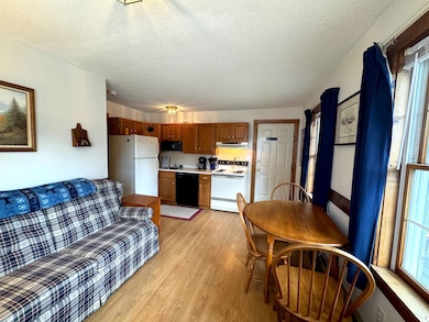 30 Pond St unit 8, Ludlow, VT 05149 - photo 6