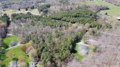 0 Newland Ln, Sharpesburg, NC 28625 - photo 5