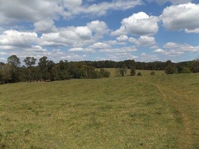 TBD Dugspur Rd, Laurel Fork, VA 24352 - photo 6