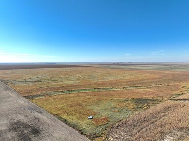 000 S Eagle St, Dighton, KS 67839 - photo 6