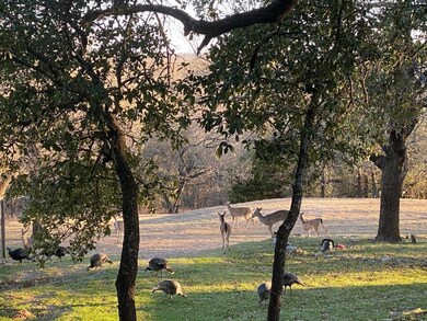 unlisted-address, Springtown, TX 76082 - photo 3