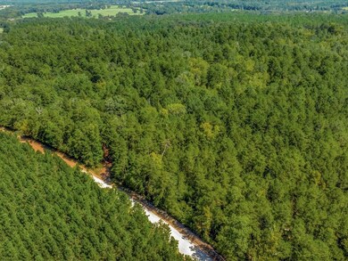 4100 Cr 915, Nacogdoches, TX 75964 - photo 5