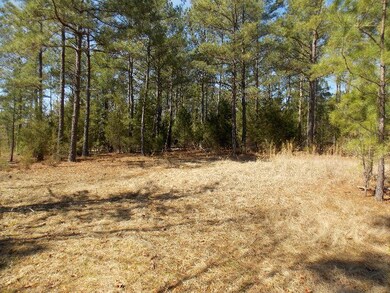 1 Chamberlain Ferry Rd, Lincolnton, GA 30817 - photo 4