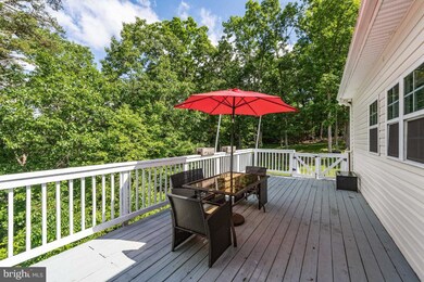 159 High Point Ct, Front Royal, VA 22630 - photo 4