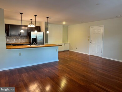 400 Plumbridge Ct unit 201, Lutherville Timonium, MD 21093 - photo 7