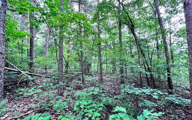 Additional View