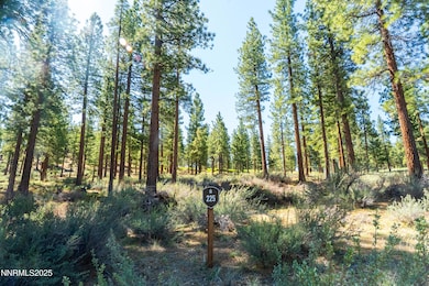 225 clear creek-3