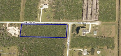 eagle view of street Fox Trail