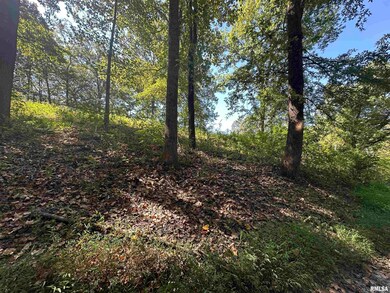 1010 Woods Rd, Stokes Precinct, IL 62912 - photo 2