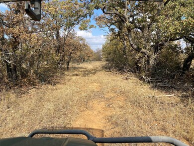 14500 County Road 129, Brownwood, TX 76801 - photo 6