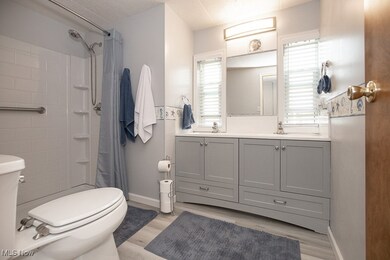 Bathroom featuring toilet, wood finished floors, vanity, and curtained shower