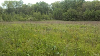 0 Moorestown Rd unit 472378, Bushkill Township, PA 18064 - photo 4