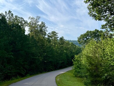 Lot 10 Shadow Wood Dr unit 10, Glencoe, AL 35905 - photo 5