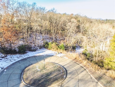 3 & 5 Broken Arrow Ct, Byrnes Mill, MO 63025 - photo 4