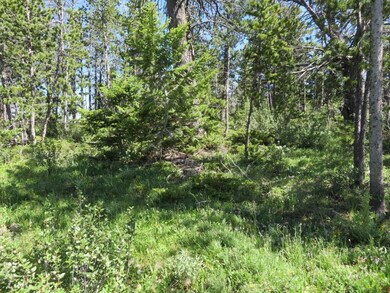 Rubysilver Quartz Hill Rd, Wise River, MT 59762 - photo 6