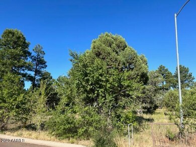 600 S Reynolds Ln unit 51, Show Low, AZ 85901 - photo 3