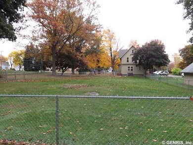 Backyard. Large fenced back yard. However, there i