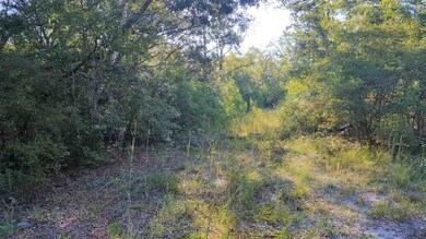 0 Hines St, Crawfordville, FL 32327 - photo 2