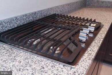 Condos at the Ridge unit 404, Owings Mills, MD 21117 - photo 6