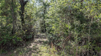 00 NE 108th Place, Waldo, FL 32694 - photo 4