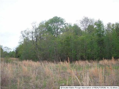 Thicket surrounding the POND on Tract A - Hubbs Ro