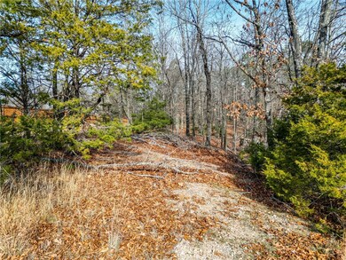Lot 1 Blisslake Ln, Rogers, AR 72756 - photo 7
