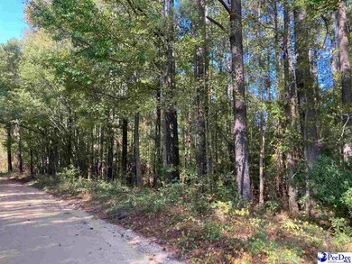 TBD Old Kemper Rd, Lake View, SC 29563 - photo 5