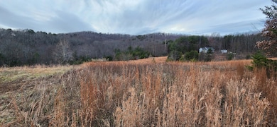 Lot 4 Sontag Rd, Rocky Mount, VA 24151 - photo 2