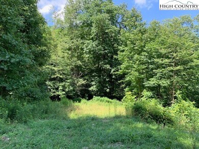 Lot 2 Caseys Gap Rd, Banner Elk, NC 28604 - photo 4
