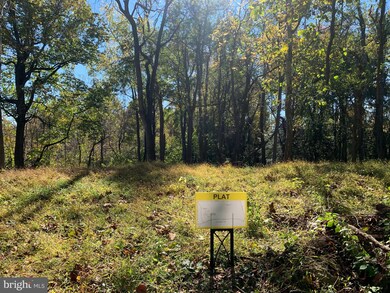 6679 Old Solomons Island Rd, Friendship, MD 20758 - photo 4