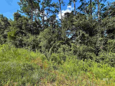 0 Liatrus Ln unit 12 384772, Seminole, AL 36574 - photo 7