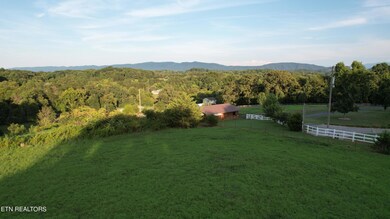 MTN View