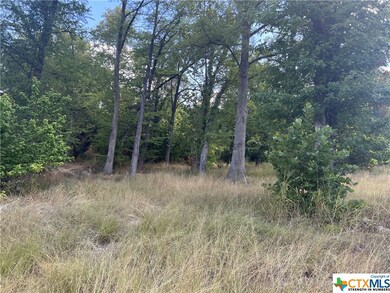 1345 River Terrace, New Braunfels, TX 78130 - photo 4