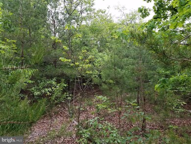 21 Cielo Ln, Berkeley Springs, WV 25411 - photo 6