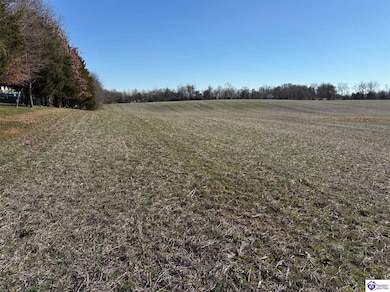 250 Owl Creek Dr, Vine Grove, KY 40175 - photo 2