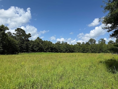 0 Attala Road 4110 unit 24269942, Sallis, MS 39160 - photo 7