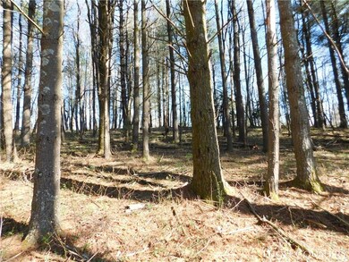 Tract L-12 Panorama Dr, Todd, NC 28684 - photo 4