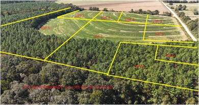 Lot 4 Chipola Rd, Dothan, AL 36301 - photo 4