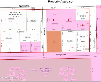 0 Julia St, Palatka, FL 32177 - photo 4