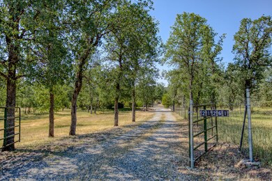 country lane privacy