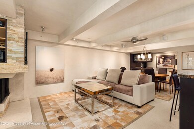 1034 E Cooper Ave unit 26A, Aspen, CO 81611 - photo 3