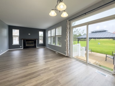 unlisted-address, Elgin, IL 60124 - photo 7