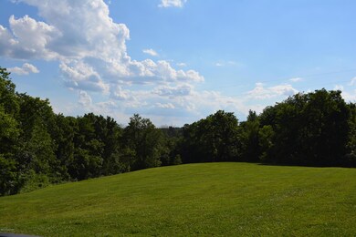 DSC_1869